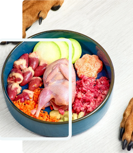 A beautiful bowl of fresh, raw pet food ingredients